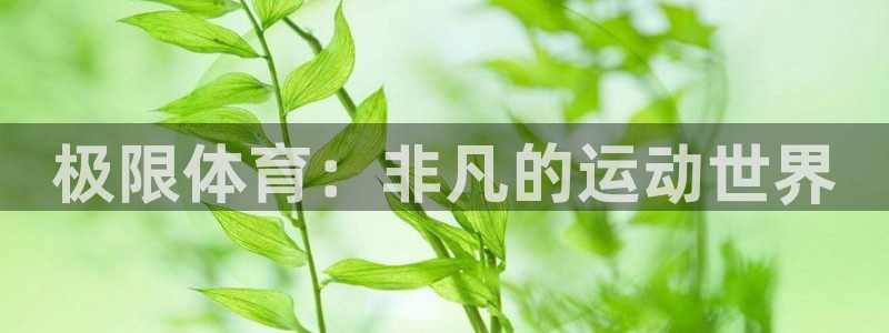 yy易游官方正版app娱乐首页官网下载：极限体育：非