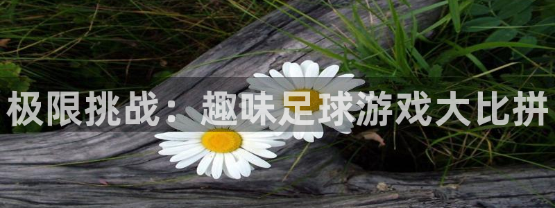 yy易游官网下载招商电话号码查询是多少：极限挑战：趣