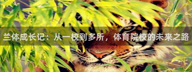 yy易游官网下载招商：兰体成长记：从一校到多所，体育