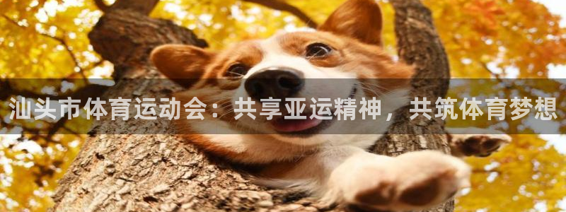 yy易游官方正版app集团：汕头市体育运动会：共享亚运精神，
