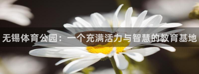 yy易游官网下载招商电话是多少：无锡体育公园：一个充