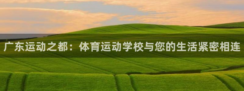 yy易游官网下载平台注册流程视频：广东运动之都：体育运动学校