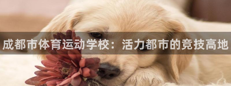 yy易游官网下载招商电话号码是多少号：成都市体育运动学校：活