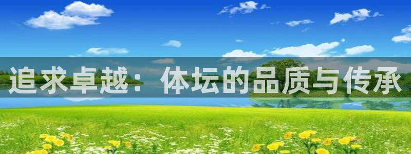 yy易游官方正版app娱乐代理怎么样：追求卓越：体坛的品质与