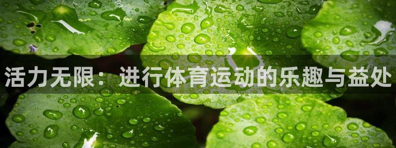 yy易游官方平台体育：活力无限：进行体育运动的乐趣与