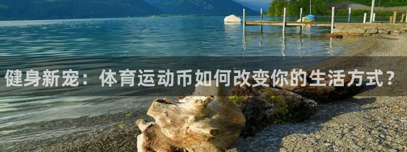 yy易游官方正版app娱乐40996：健身新宠：体育