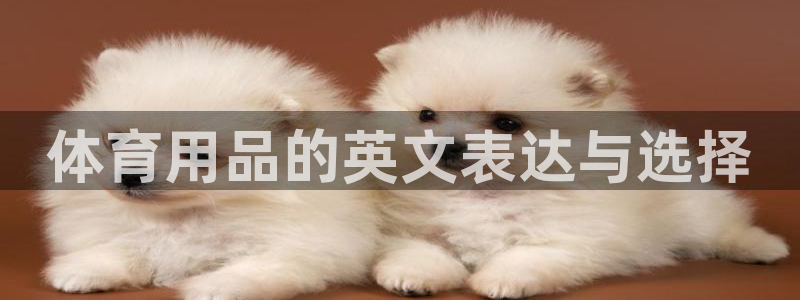 yy易游官网下载招商电话地址是多少：体育用品的英文表