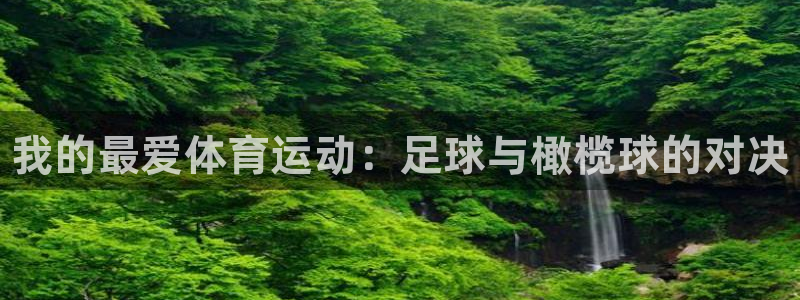yy易游官方正版app娱乐平台：我的最爱体育运动：足