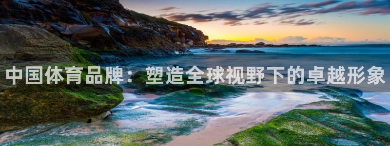 yy易游官网下载软件：中国体育品牌：塑造全球视野下的卓越形象