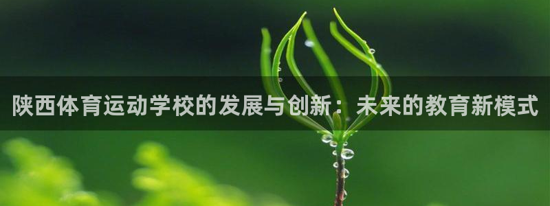 海南yy易游官网下载发展怎么样：陕西体育运动学校的发展与创新