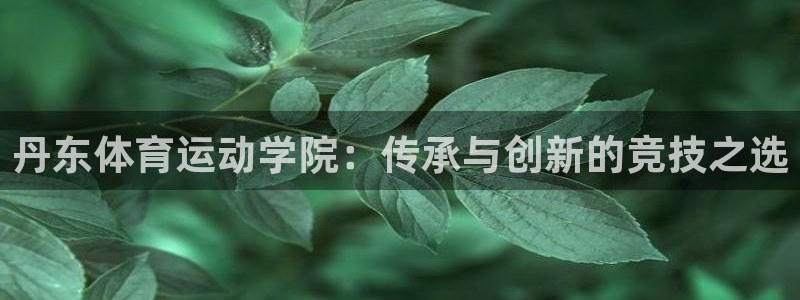 yy易游体育是正规的吗安全吗可靠吗