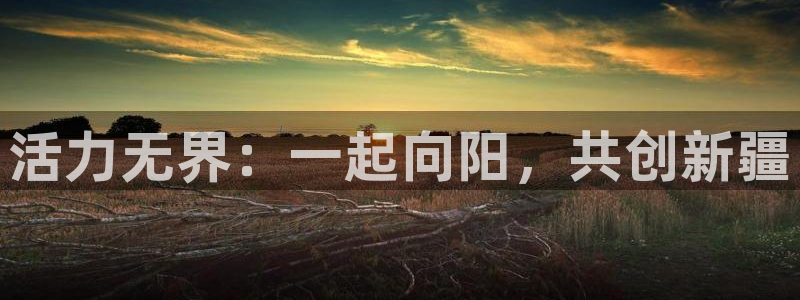  yy易游体育是正规的吗安全吗可靠吗：活力无界：一起向阳，共创