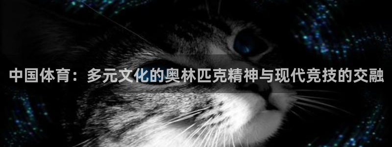 yy易游体育平台能提现吗：中国体育：