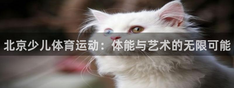 yy易游体育是什么：北京少儿体育运动：体能与艺术的无限可能