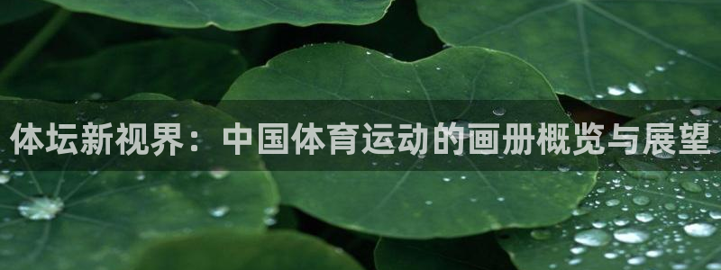 YY易游体育app最新版本更新内容：体坛新视界：中国体育运动