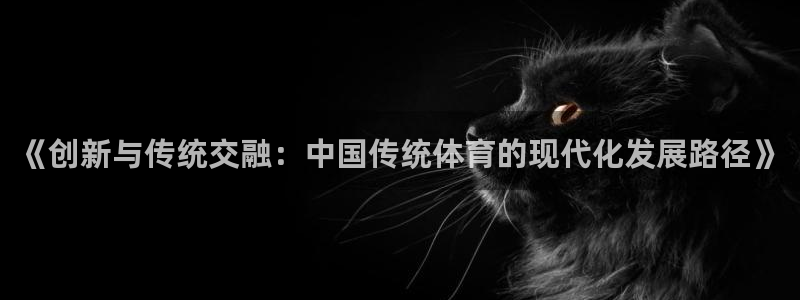  yy易游体育是正规的吗安全吗知乎：《创新与传统交融：中国传统