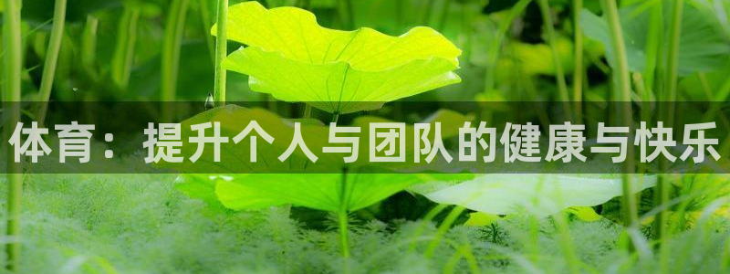  yy易游体育电竞登录不上去怎么办：体育：提升个人与团队的健康
