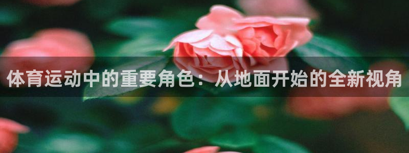 yy易游体育app最新版本更新内容是