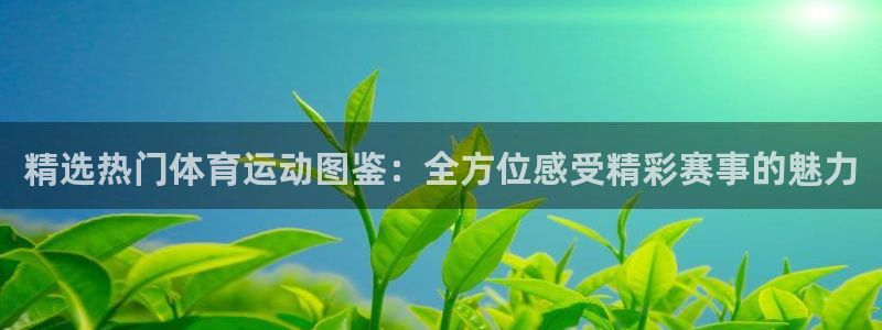 yy易游体育平台能提现吗是真的吗：精选热门体育运动图鉴：全方