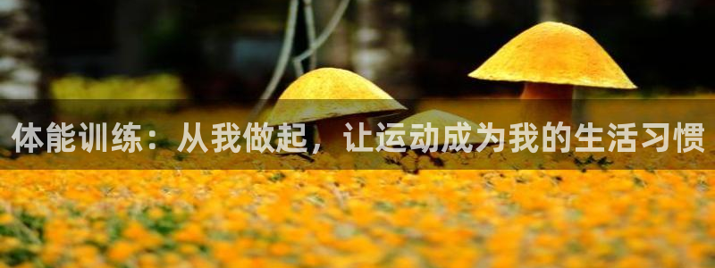 yy易游体育平台能提现吗是真的吗：体能训练：从我做起，让运动