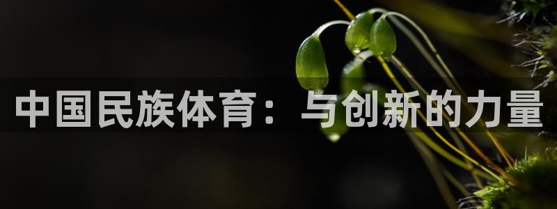 yy易游官方正版app娱乐：中国民族体育：与创新的力