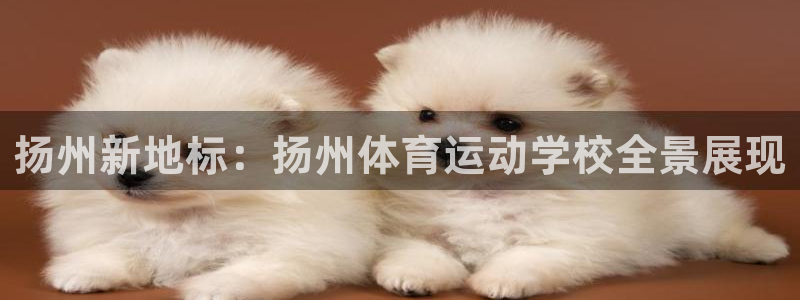 yy易游官网下载招商电话号码查询是多少：扬州新地标：