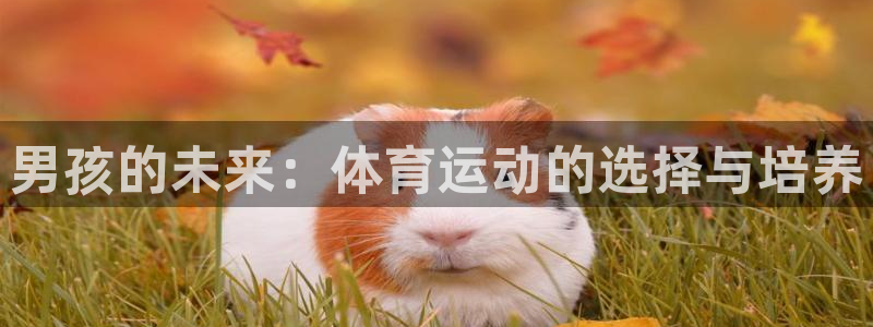 yy易游官方正版app娱乐代理怎么样：男孩的未来：体