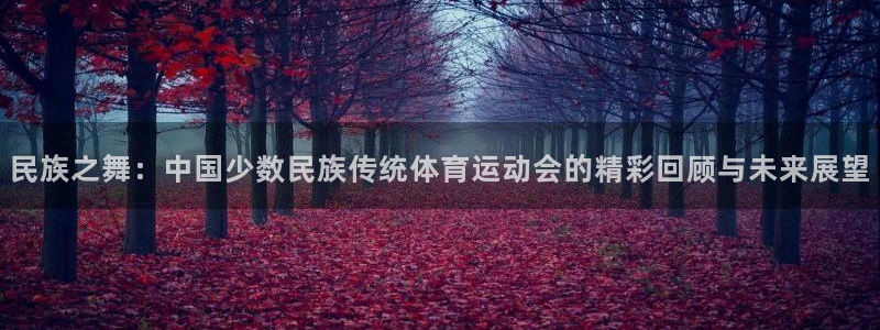 yy易游官方正版app娱乐首页官网下载：民族之舞：中