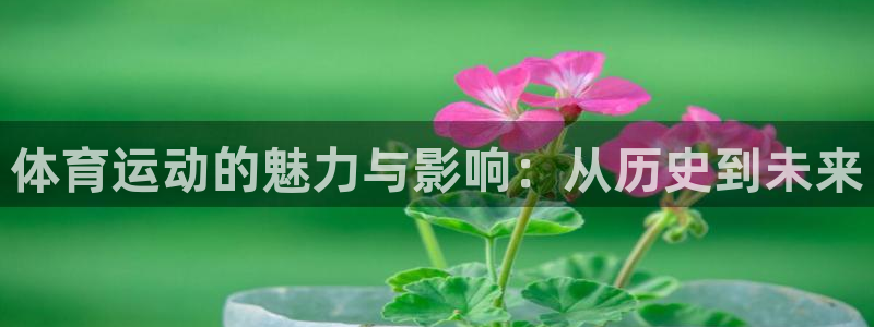 yy易游官方正版app新能源：体育运动的魅力与影响：