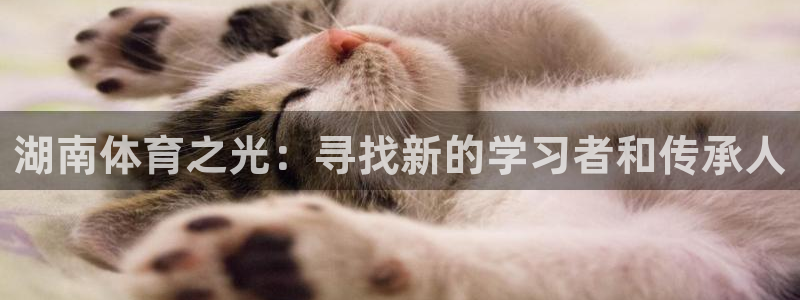 yy易游官方正版app娱乐网站：湖南体育之光：寻找新