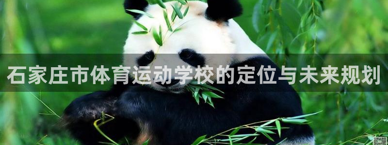 yy易游官方正版app五金厂：石家庄市体育运动学校的