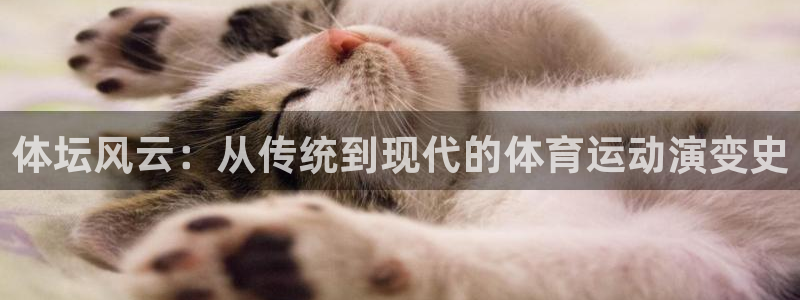 yy易游官网下载娱乐：体坛风云：从传统到现代的体育运