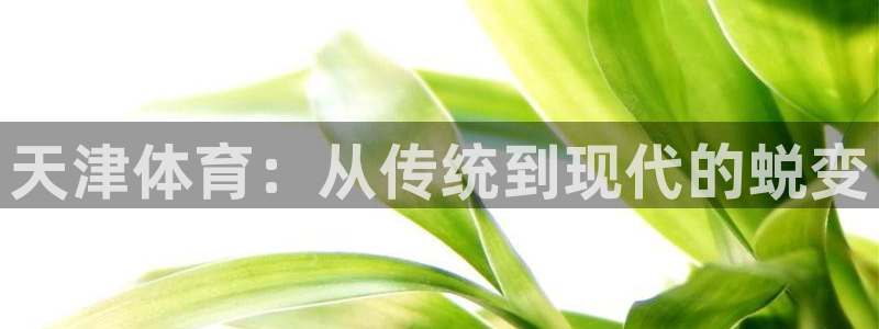 yy易游官网下载招商电话是多少号码：天津体育：从传统