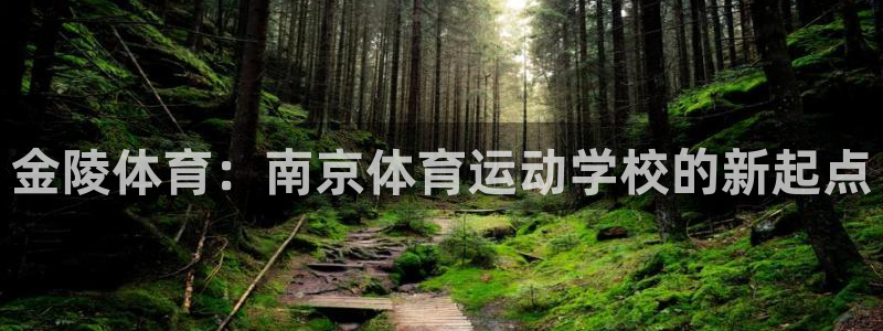 yy易游官方正版app集团官网网址：金陵体育：南京体